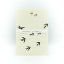 Notebook birds - motif 1 - Colour: White