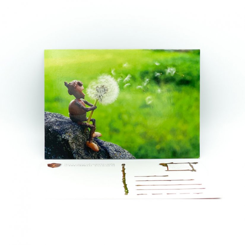 Postcard Acorn Elves - motif 2