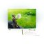 Postcard Acorn Elves - motif 2