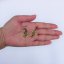 Brass earrings - motif 2